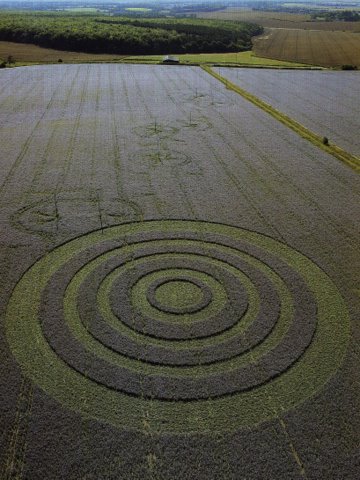 Borage crop circle