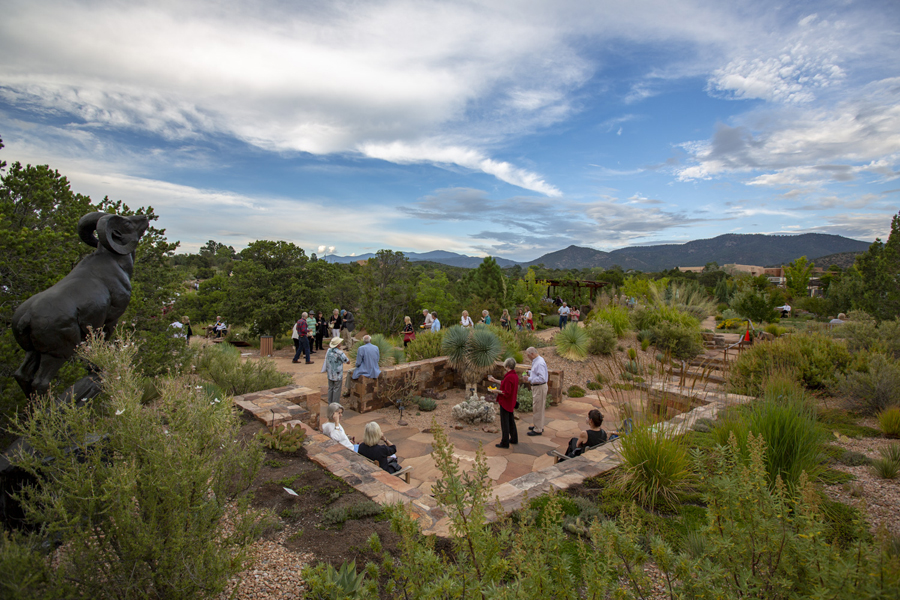 Dry Garden