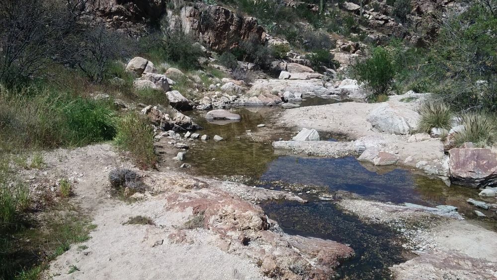 A flowing stream in Spring in the Santa Catalina Mountains (AZ). Photo: Don Falk