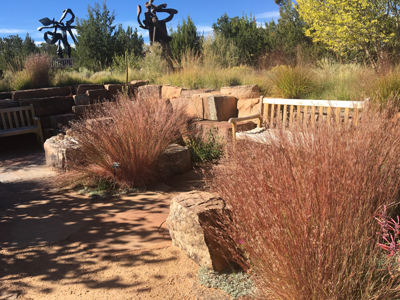 Little bluestem (Schizachyrium scoparium 'The Blues') grows throughout the Orchard borders. (photo: Joan Grabel)