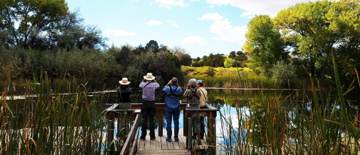 Leonora Curtin Wetland Preserve