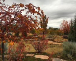 Santa Fe Botanical Garden